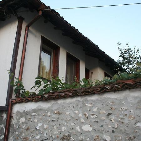 Todorova House Hotel Zlatograd Eksteriør billede