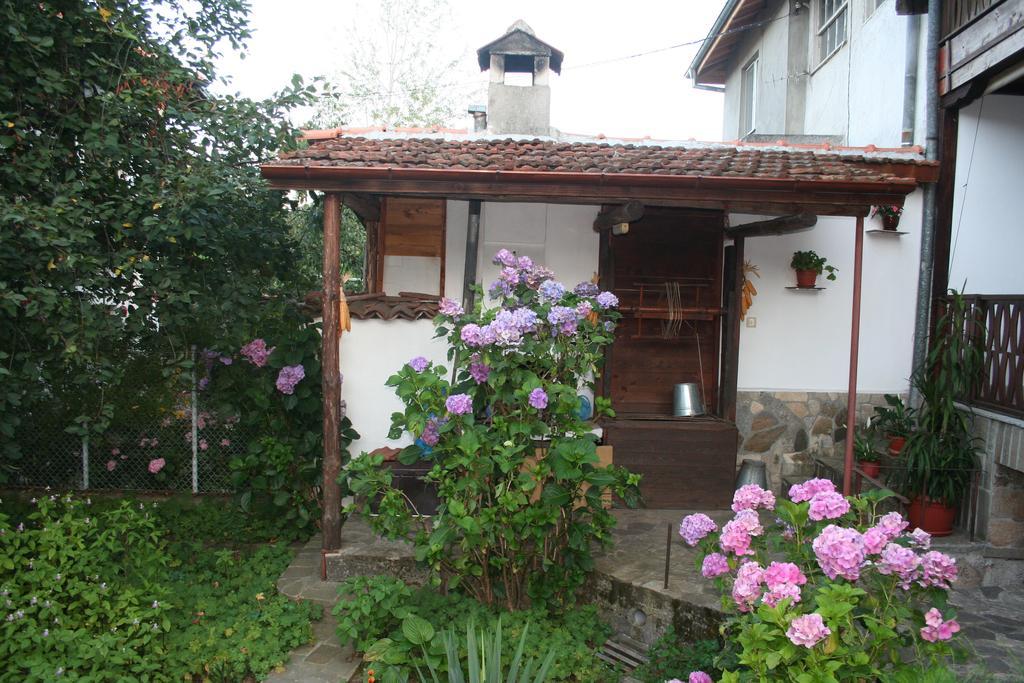 Todorova House Hotel Zlatograd Eksteriør billede
