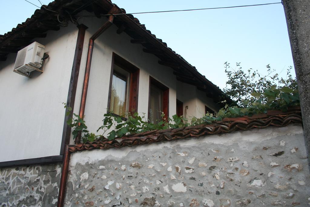 Todorova House Hotel Zlatograd Eksteriør billede